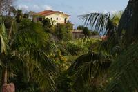 Monte Palace (10)