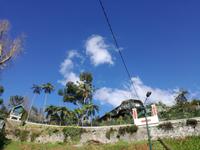 Monte
