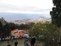 Monte