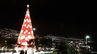 Nachtmarkt in Funchal