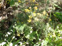 Natur pur