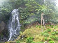 Naturpark in Nordeste