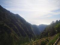 Nonnental Madeira
