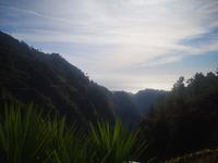 Nonnental Madeira