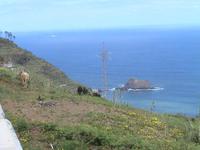 Nordküste