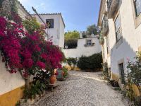 Obidos (5)
