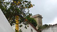 Obidos