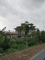 Orchideengarten