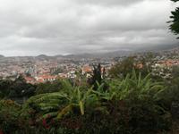 Orchideengarten