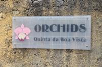 Orchideengarten