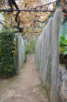 Orchideengarten