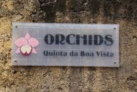 Orchideengarten