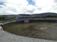 P1000805
