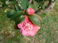 P1050025