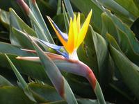 P1050090