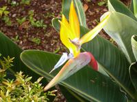 P1050091