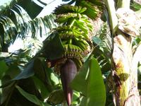 P1050127