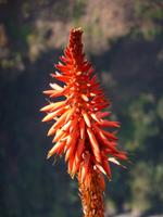 P1050153
