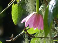 P1170676