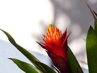 P1170937