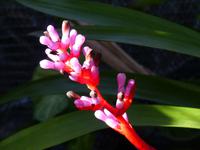 P1170938