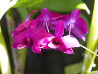 P1170946