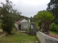 P1180218