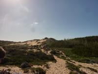 P1180389