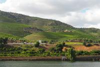 P6050229, Douro-Tal