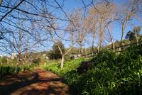 Palheiro Garden (4)