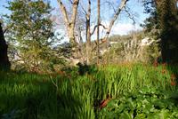 Palheiro Garden (8)