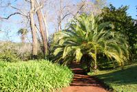 Palheiro Garden (9)