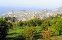 Palheiro Garden