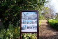 Palheiro Garden