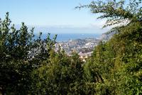 Palheiro Garden