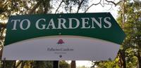 Palheiro Gardens 