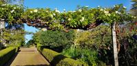 Palheiro Gardens 