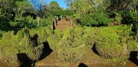 Palheiro Gardens 