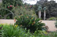 Palheiro Gardens