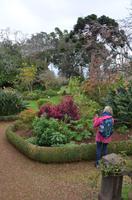 Palheiro Gardens