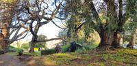 Palheiro Gardens