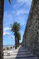 Palmenweg in Cascais