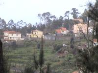 Paradies