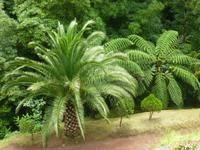 Park Caldeiroes 