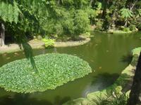 Park Terra Nostra 