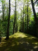 Park Terra Nostra 