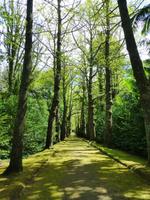 Park Terra Nostra 