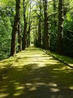 Park Terra Nostra 