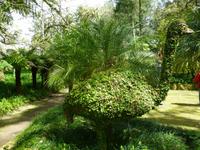 Park Terra Nostra 
