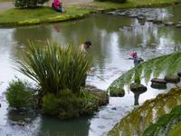 Park Terra Nostra 